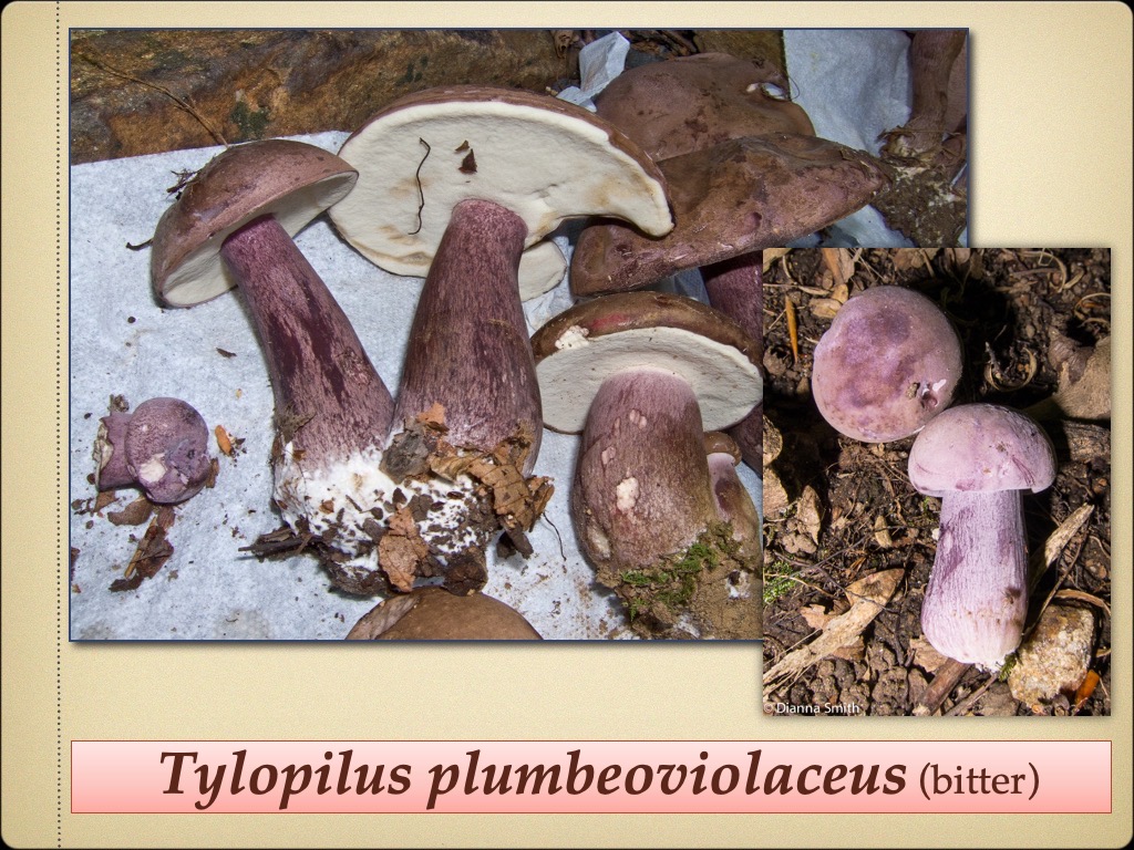 Slide46