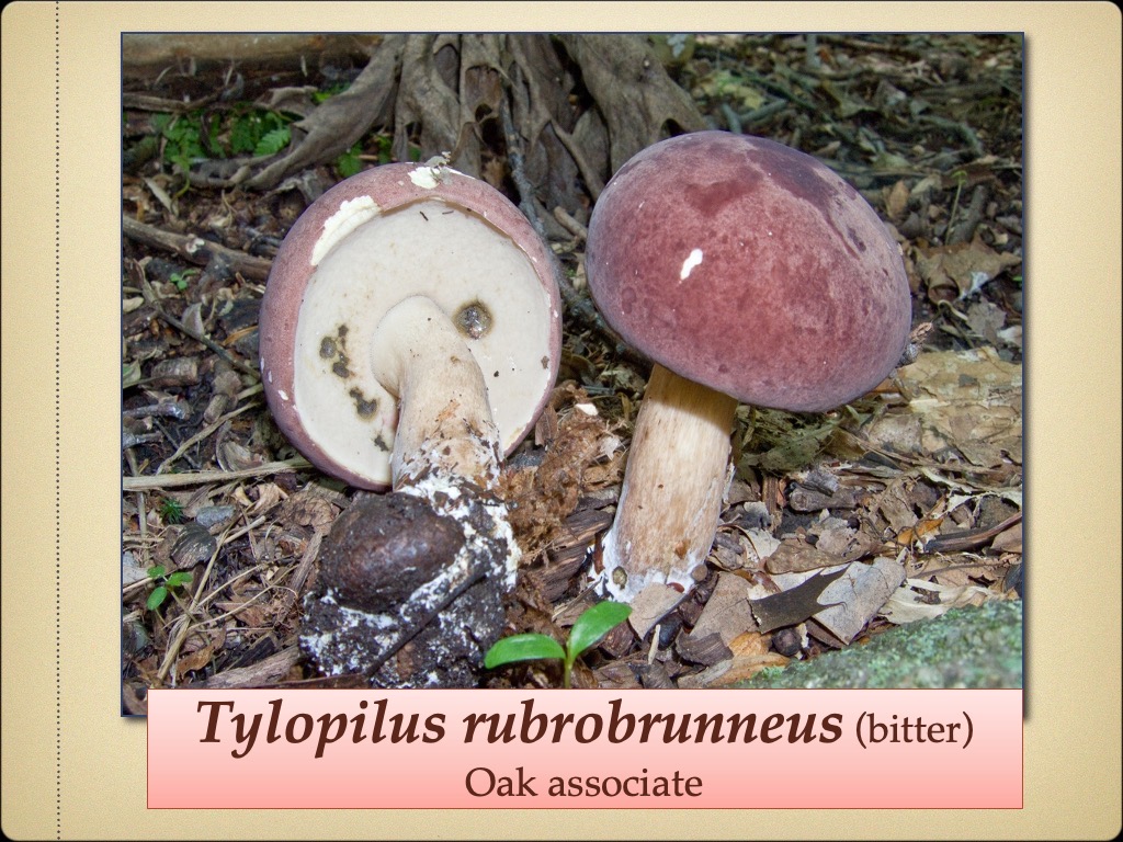 Slide47
