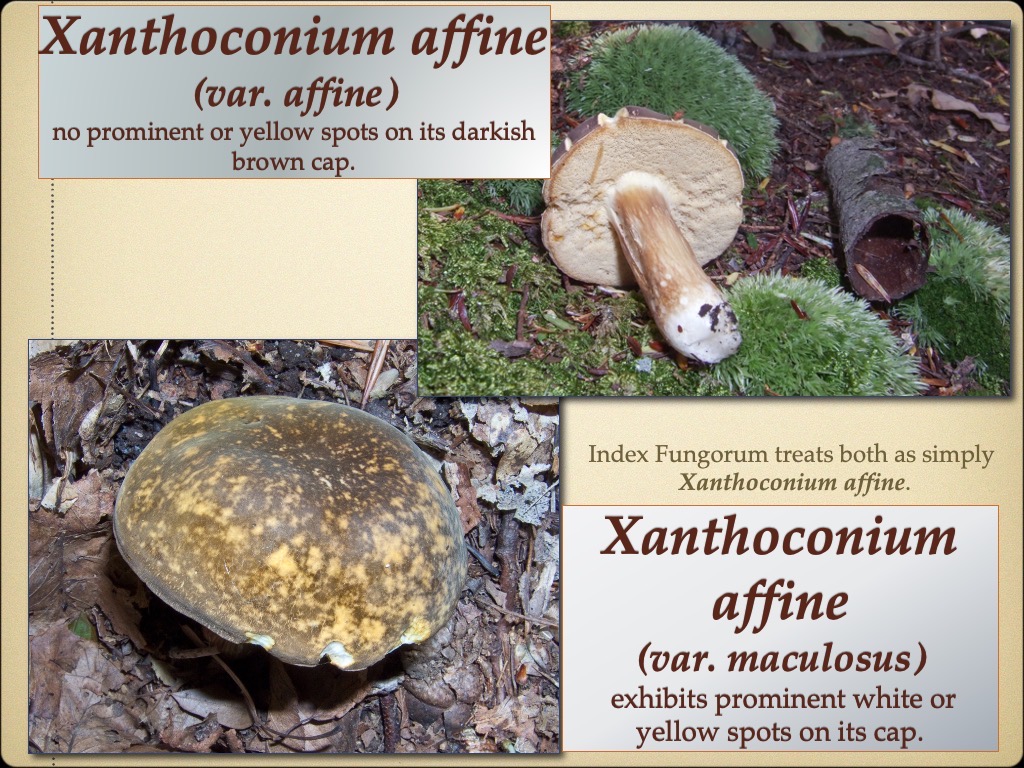Slide53