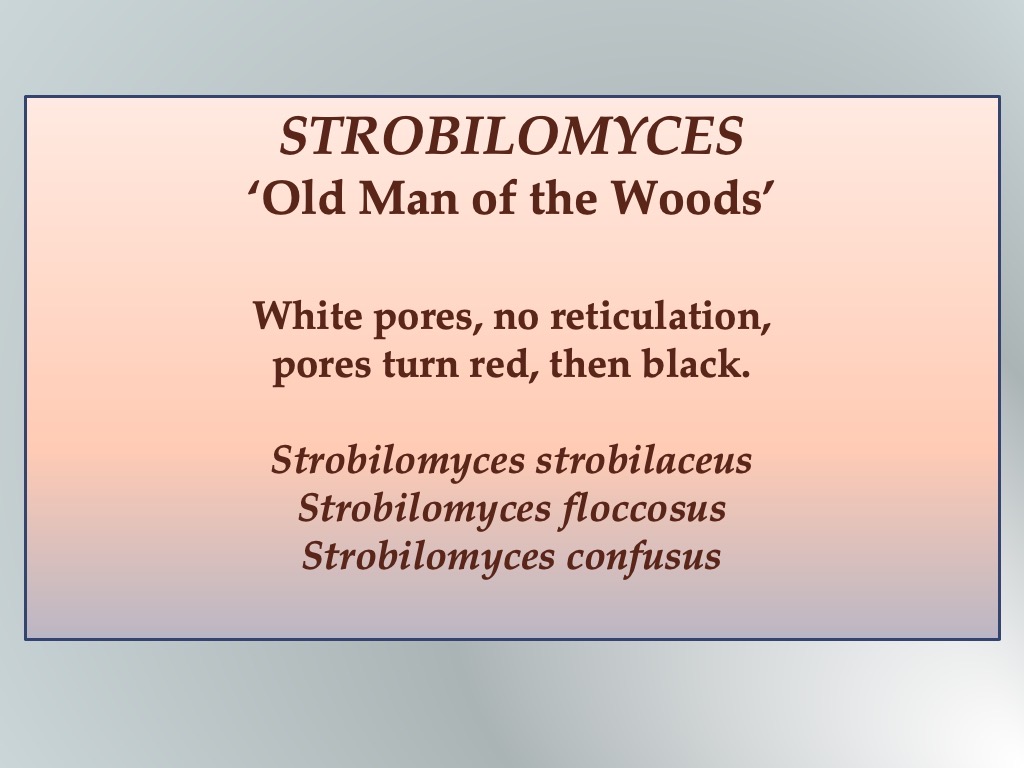 Slide54