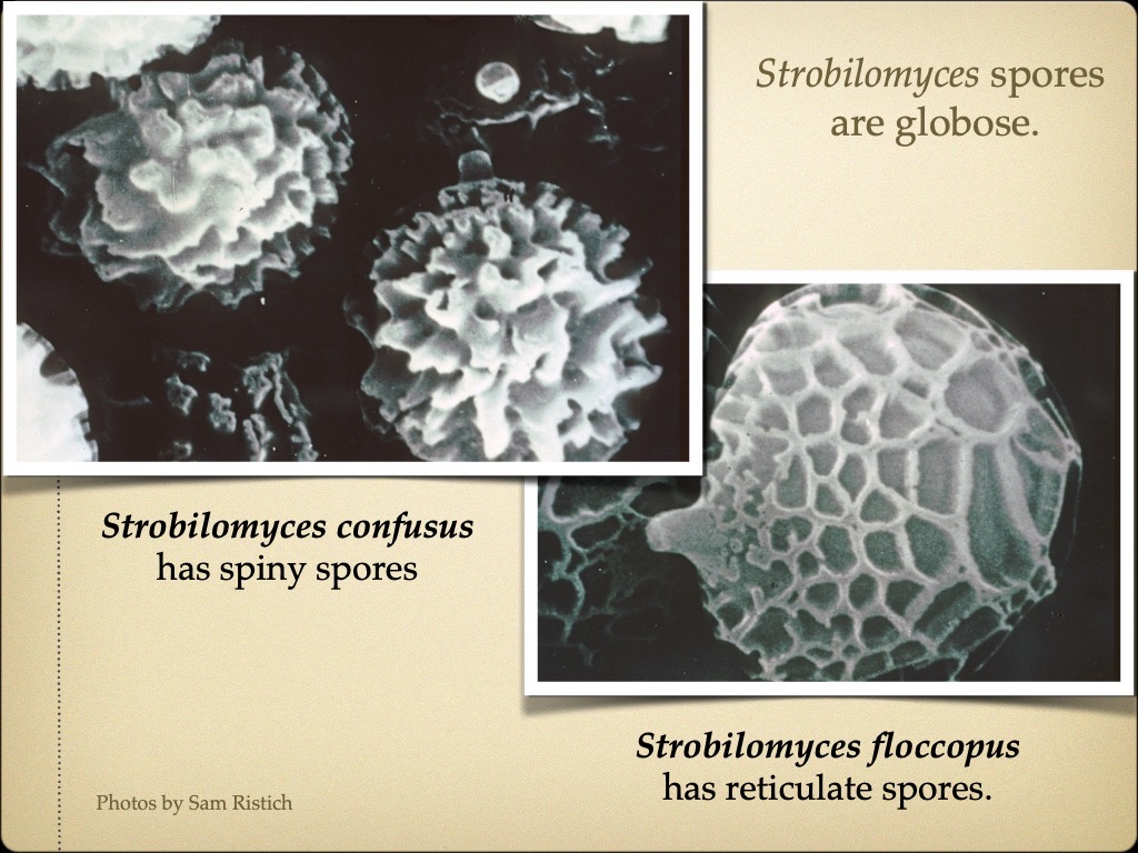 Slide56
