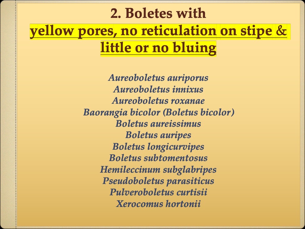 Slide58