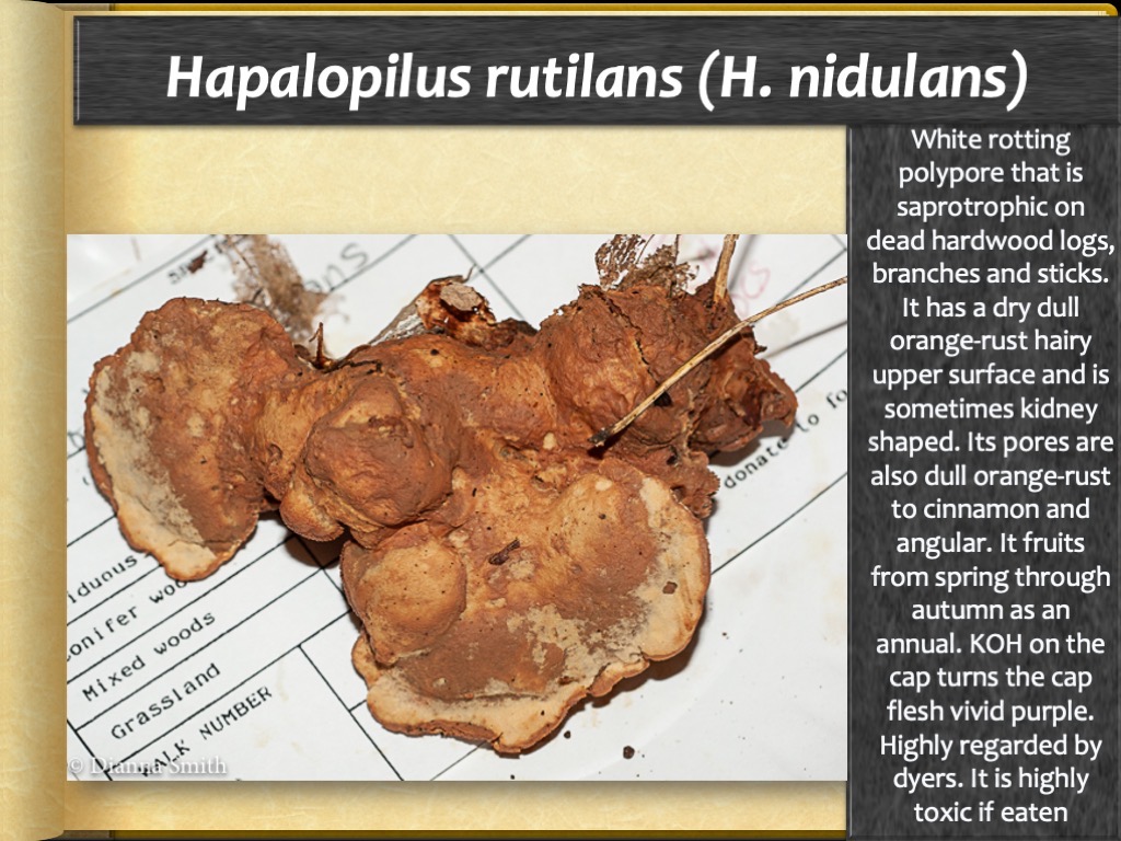 Slide59