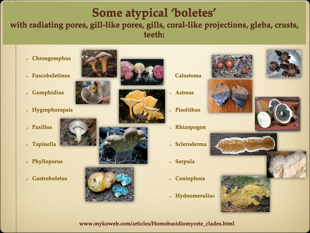 Slide6