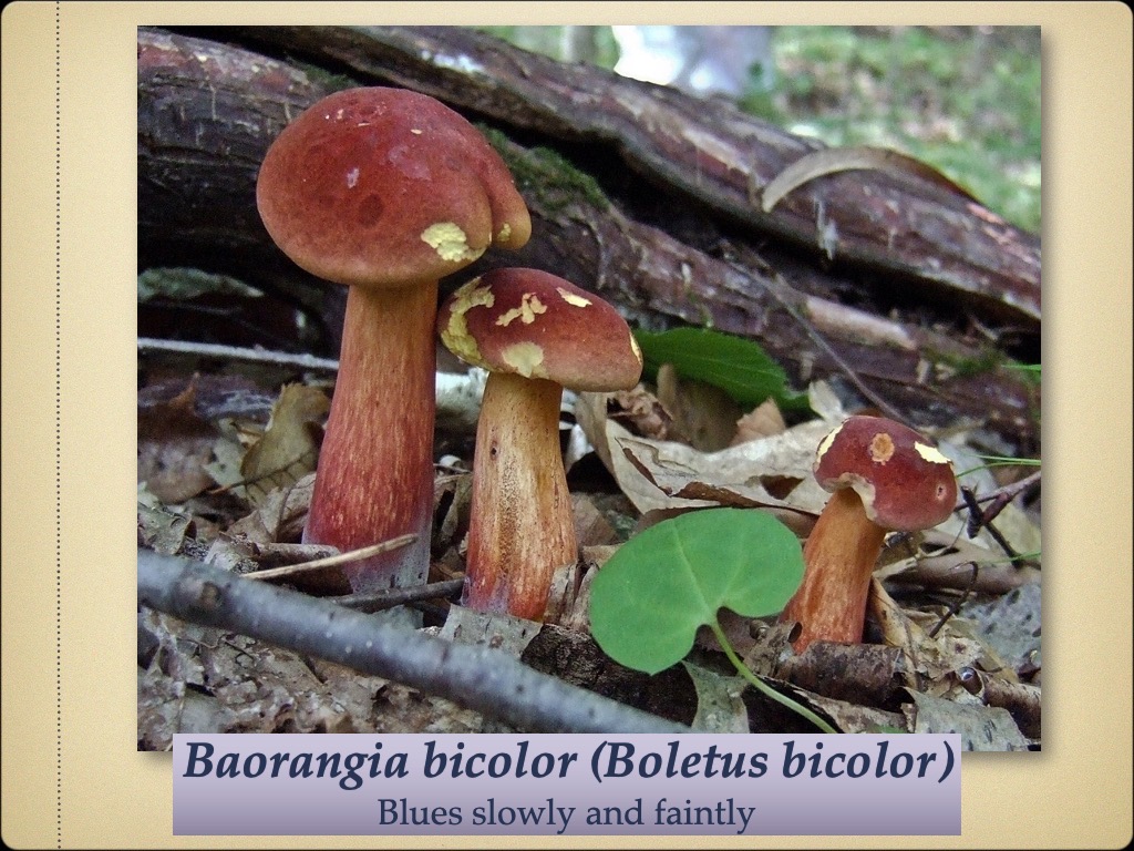 Slide62