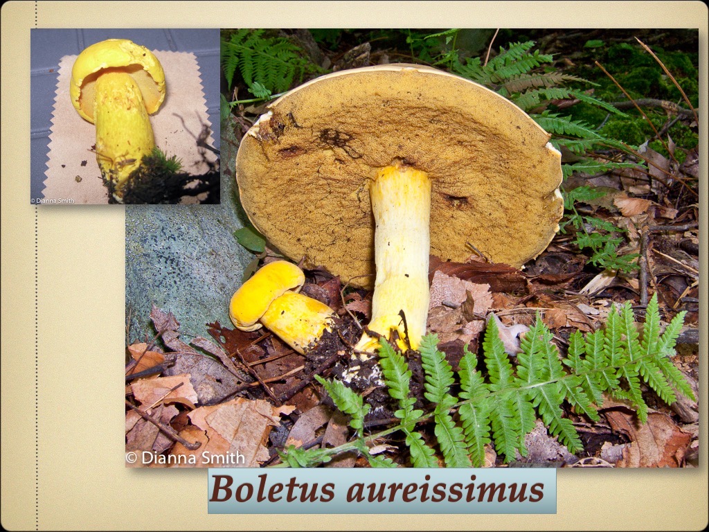 Slide63