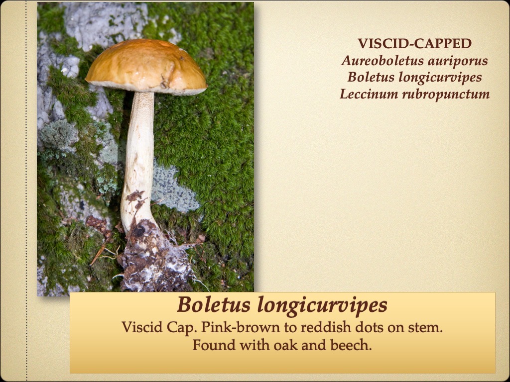 Slide65