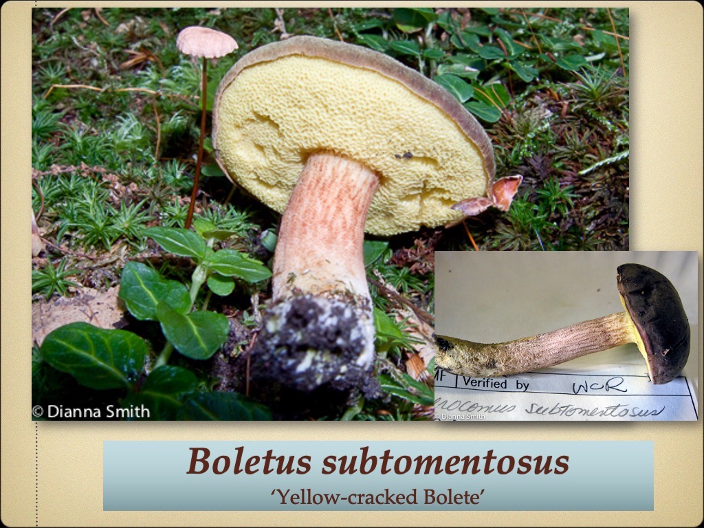 Slide67