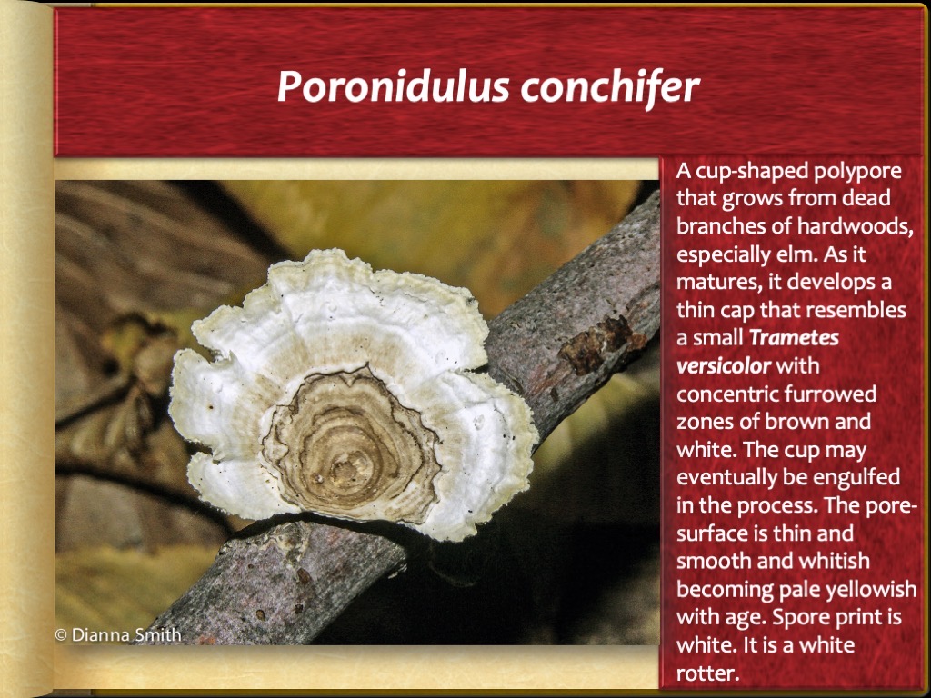 Slide68