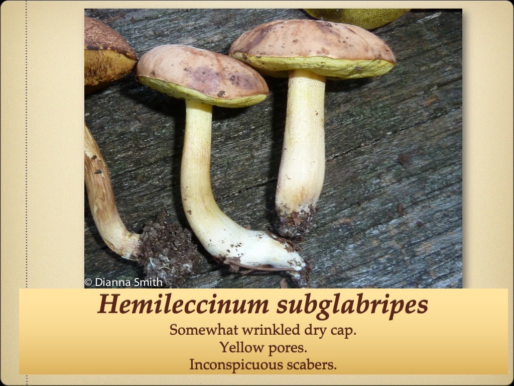 Slide69