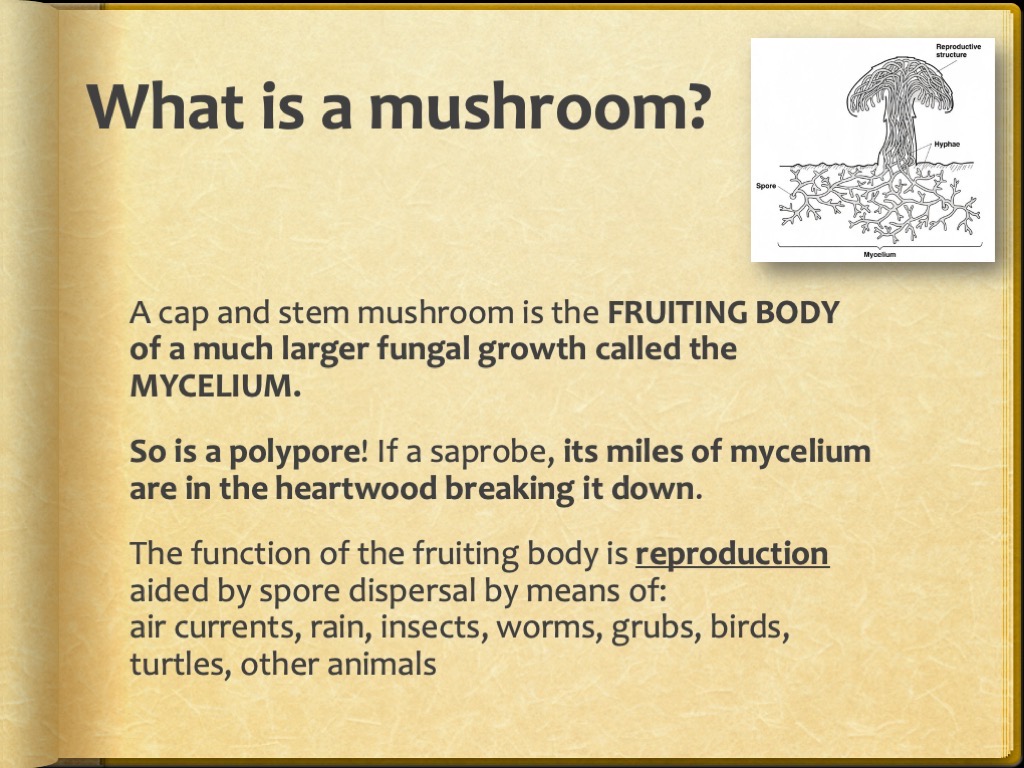 Slide7
