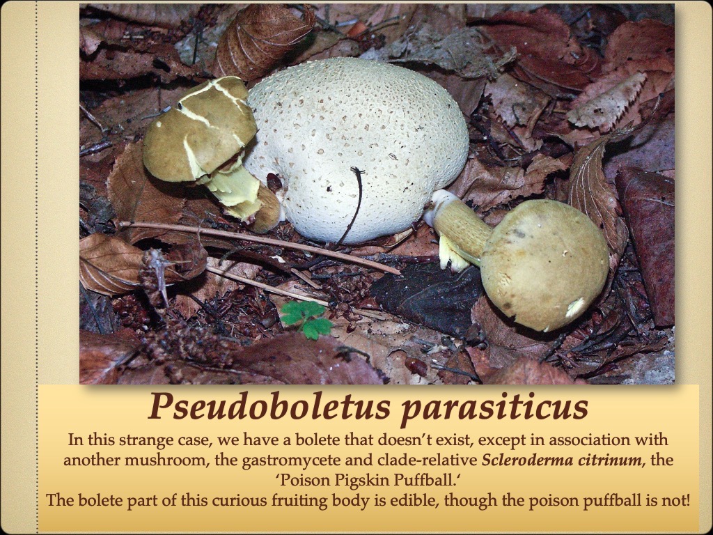 Slide71