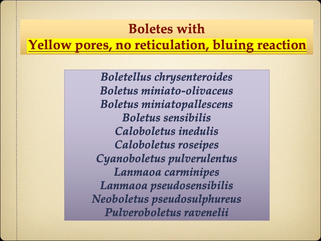 Slide73
