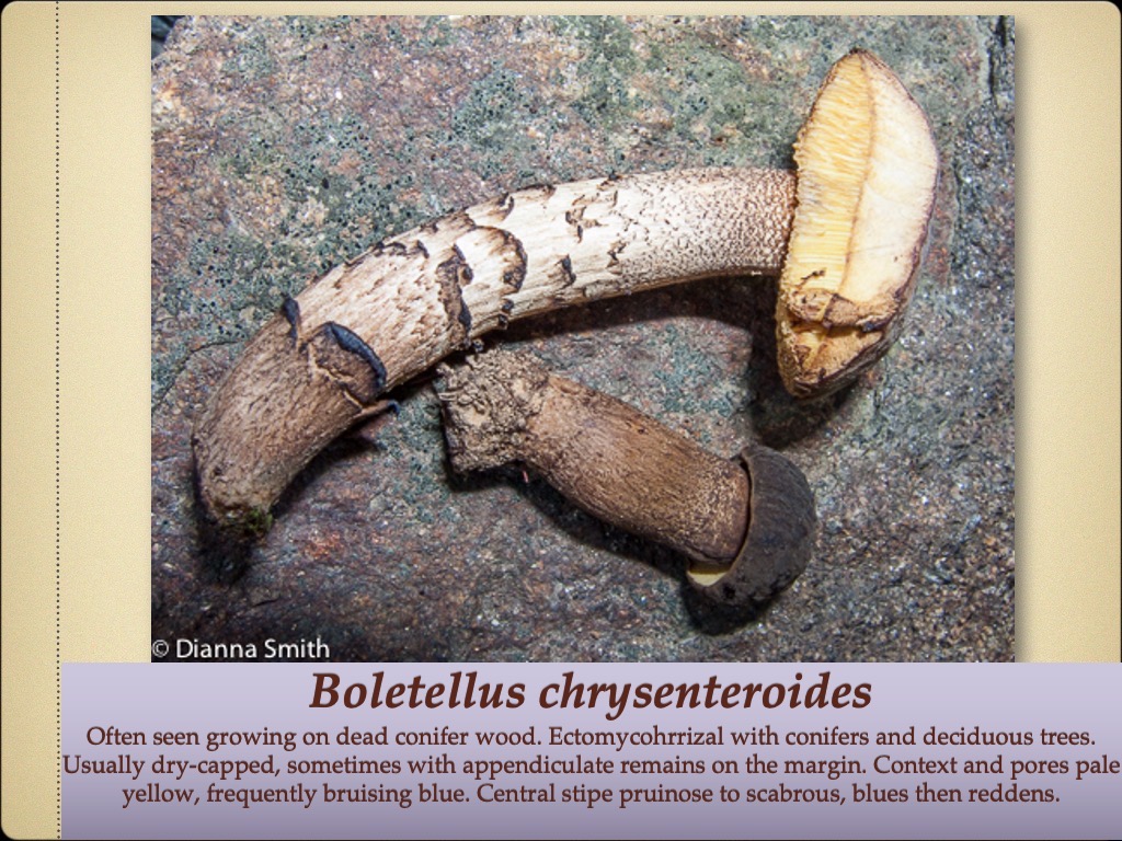 Slide74