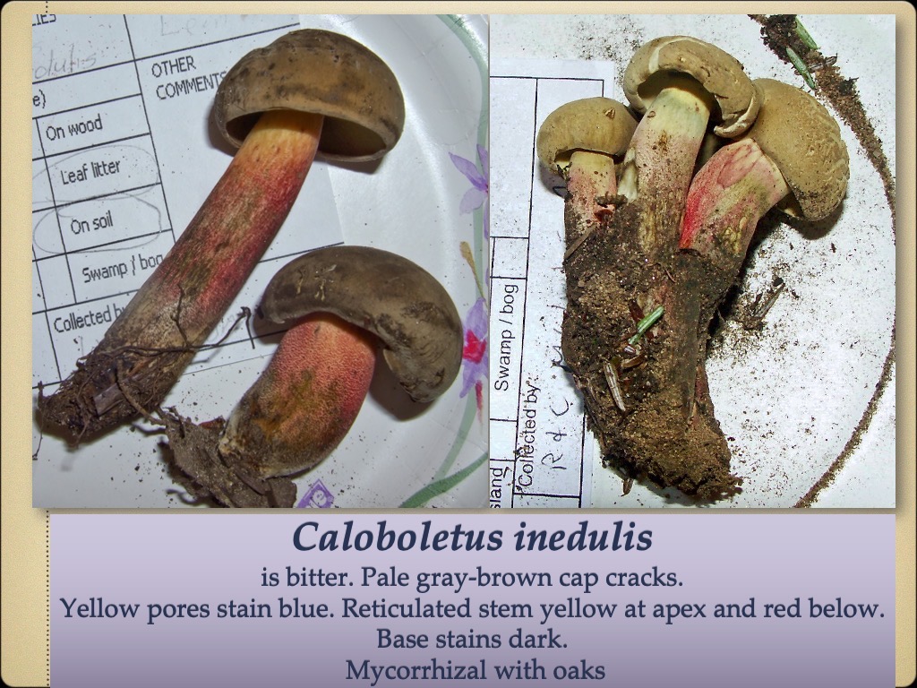 Slide76