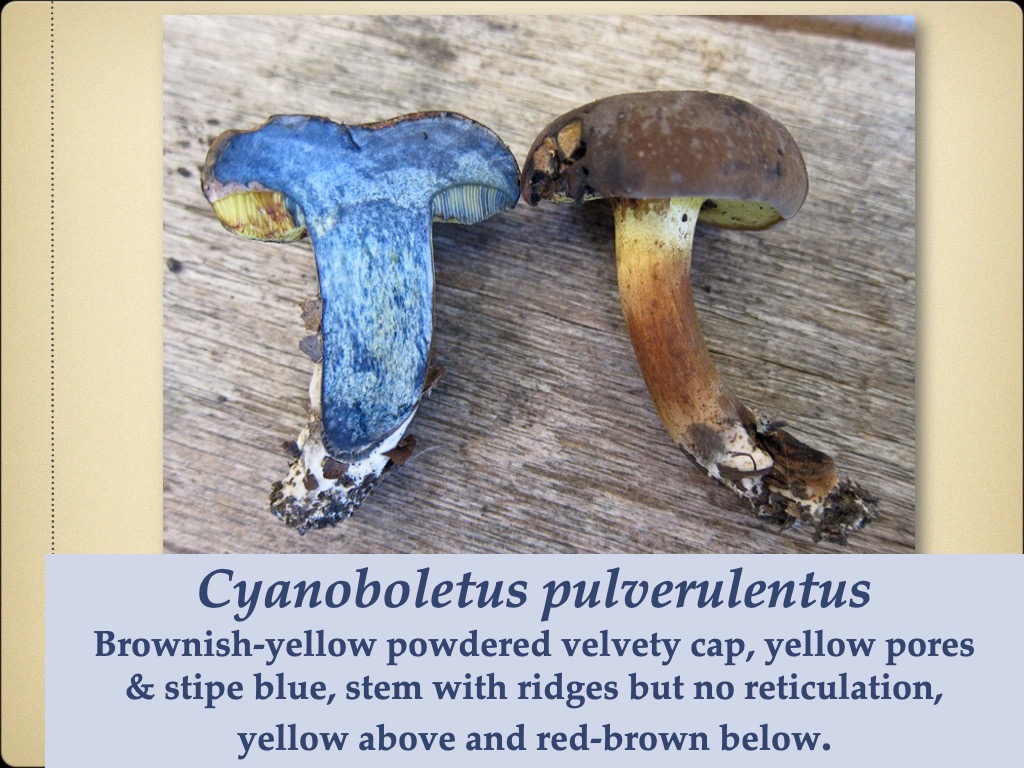 Slide77