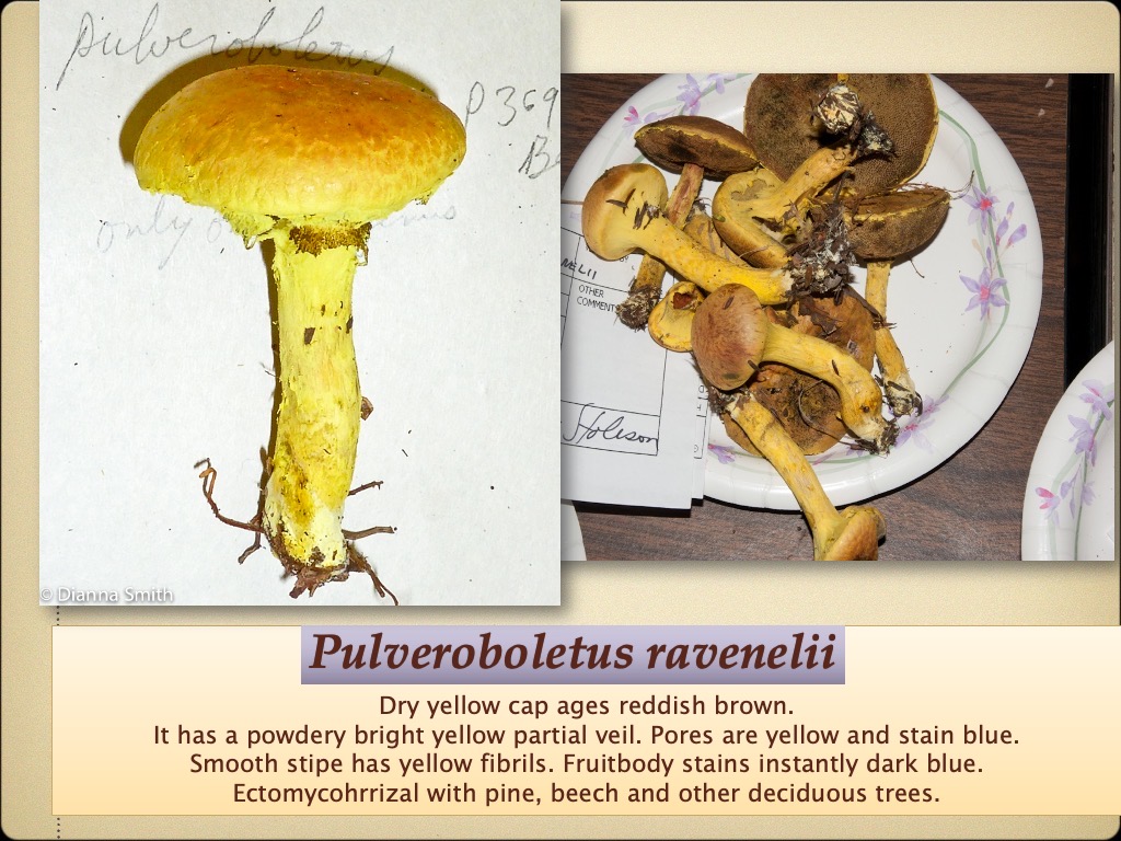 Slide78