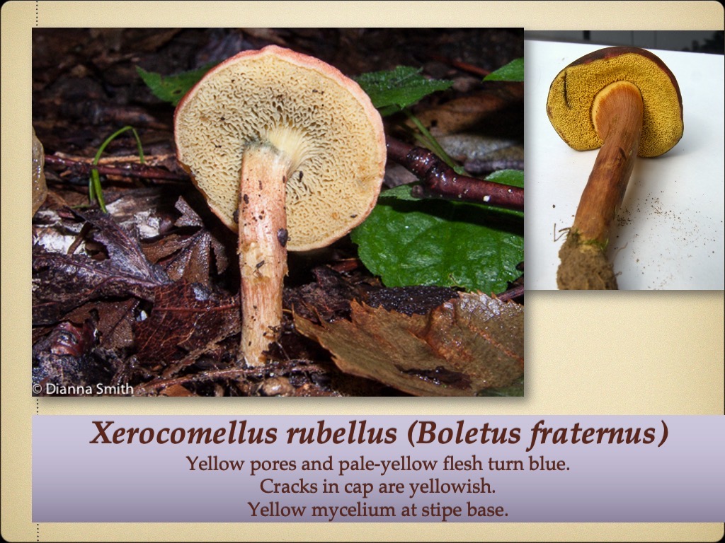 Slide79