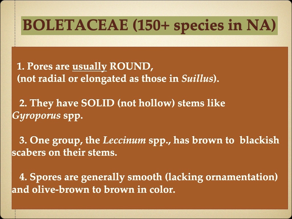 Slide8