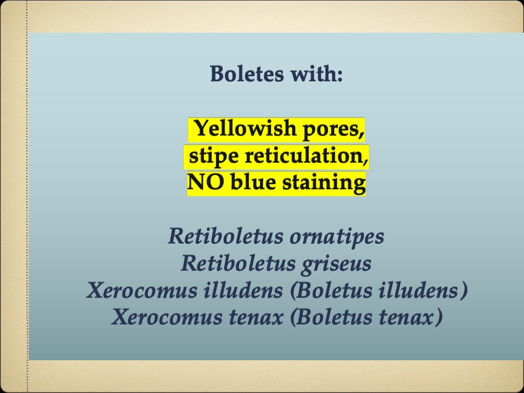Slide80