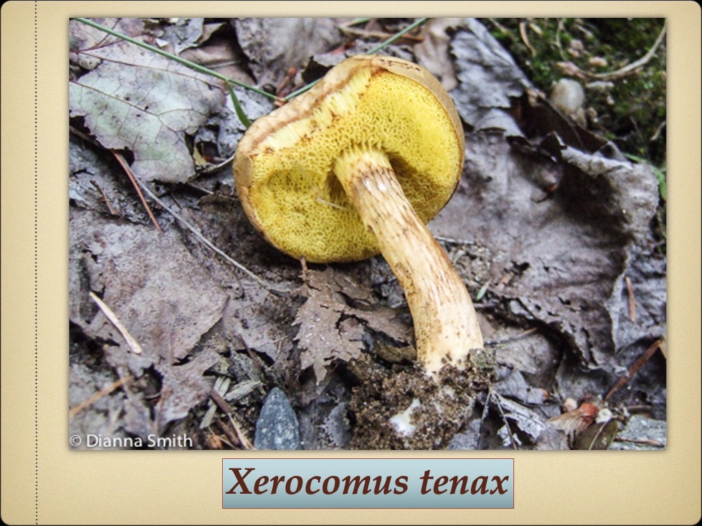 Slide85