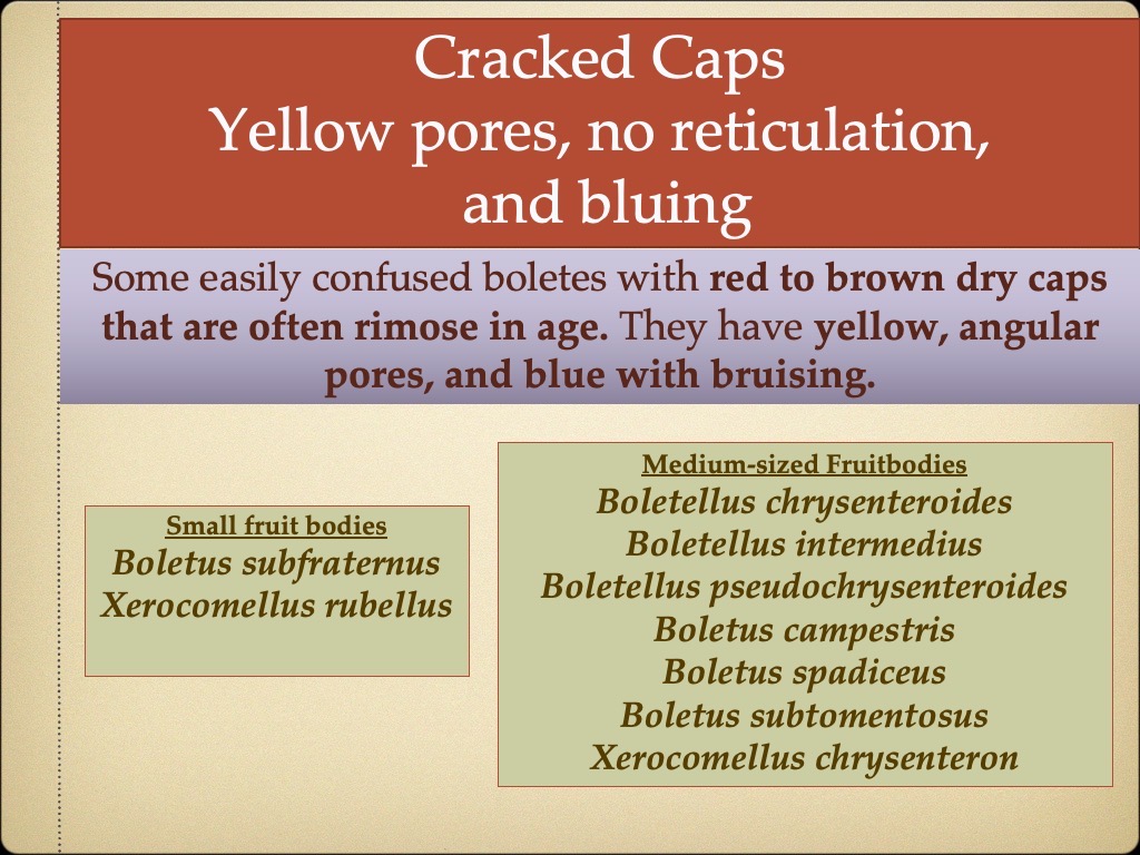 Slide89