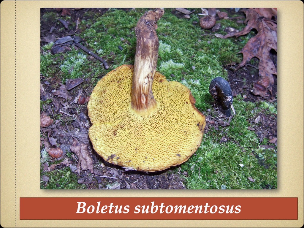 Slide92